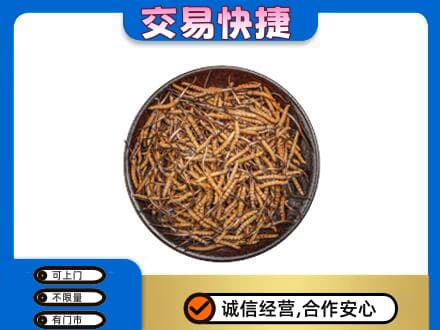 晋中回收散虫草